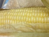 baked, not boiled corn